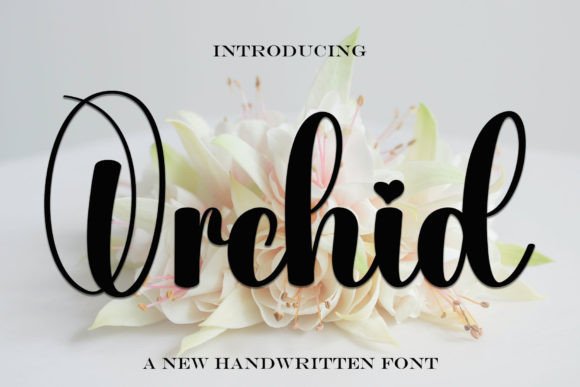 Transform Your Brand with the Versatile Orchid Font